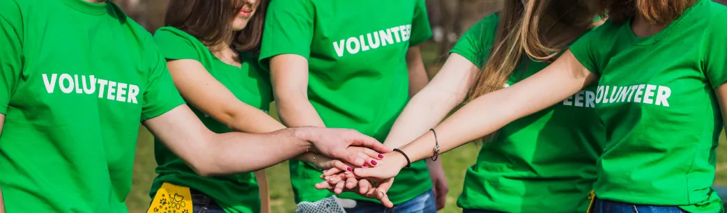 LLC vs. Nonprofit Organization in the United States